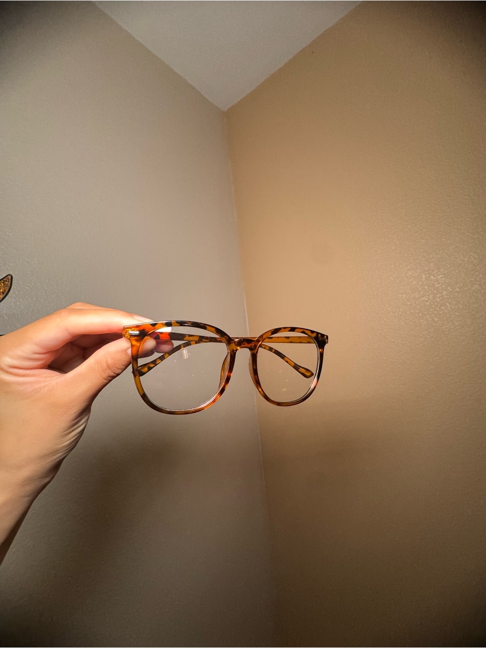 Tortoiseshell Square Large Frame Clear Glasses